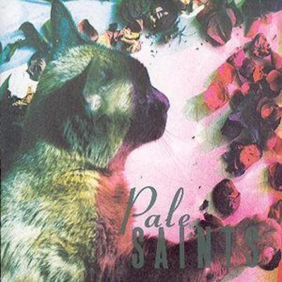 Pale saints the comforts - saints:, of