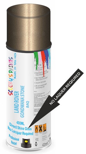 Aerosol paint spray direct - aerosol,