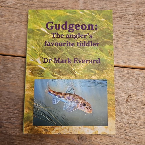Gudgeon the angler - gudgeon, angler's