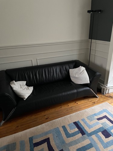Rolf benz deaigner sofa - benz,