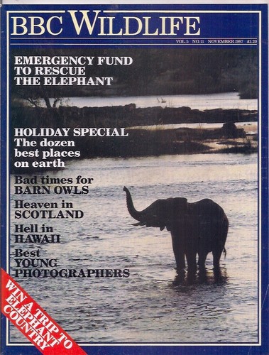 Bbc wildlife magazine - wildlife, magazine-nov