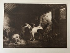 1901 Antique Print •