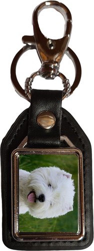 White westie dog pet - white,