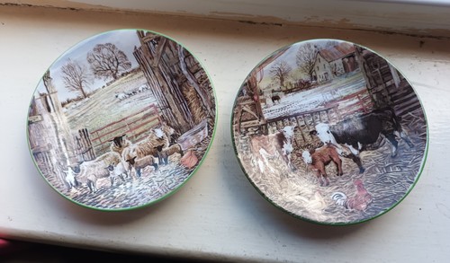 Pair year the country - pair, in