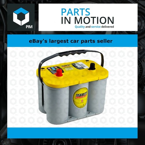 Optima yellow top - optima,