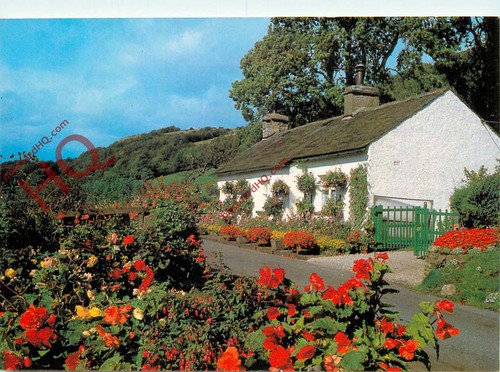 Picture postcard lakeland - picture, postcard::lakeland