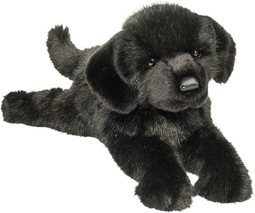 Douglas jake black lab dog - jake,