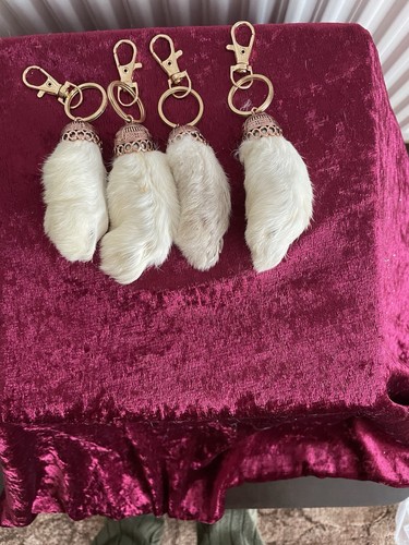 Lucky rabbits feet with clip - rabbits,