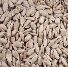 Mudzsal sunflower hearts wild - mudzsal,