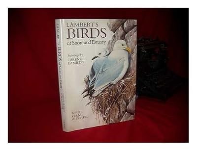 Lamberts birds shore - birds,