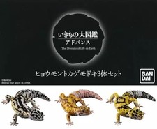 Leopard Gecko Figure Set 3
