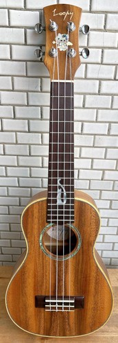Solid acacia koa concert mop - acacia,