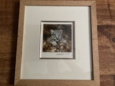 David Shepherd - Snow Leopard