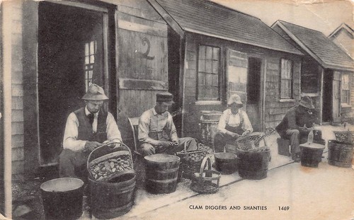 Clam diggers and - clam, 1469
