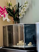 Fluval Sea EVO Marine/Saltwater Aquarium - 52 L (TANK ONLY)