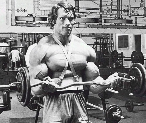 Size arnold - a3,