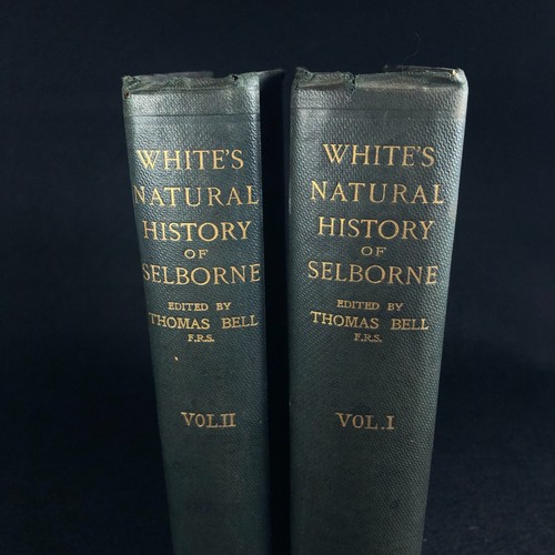 White natural history of - white's,