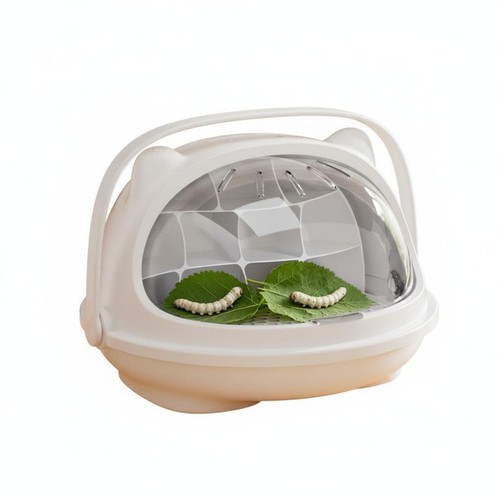 Silkworm rearing box visible - silkworm,