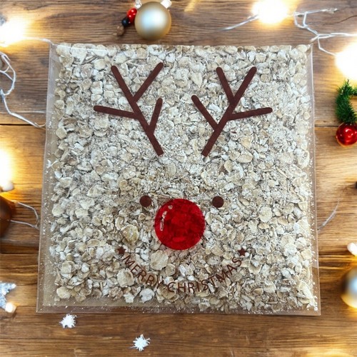 Magic reindeer food dust - magic,