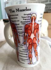 Dunoon The Human Body Human Skeleton By Jane Goodwin Stoneware Cup Mug H15cm VGC