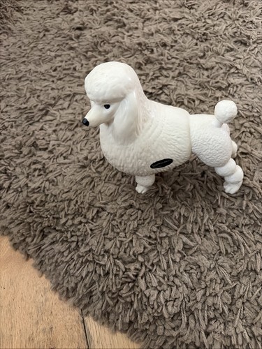 Cooper standard poodle - cooper,