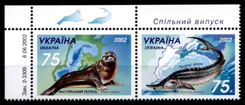 Caspian seal black sea - seal,,