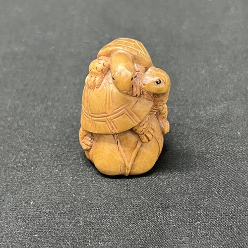 Japanese netsuke tortoises - netsuke,