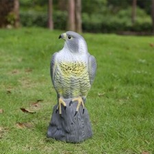 Large falcon pest deterrent - falcon,