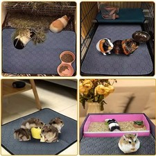 Washable Non-Slip Guinea Pig
