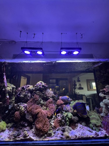 Marine aquarium complete - marine,