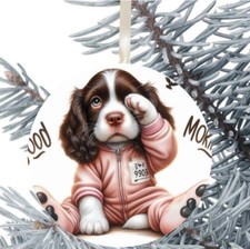 Springer Spaniel Dog Hanging