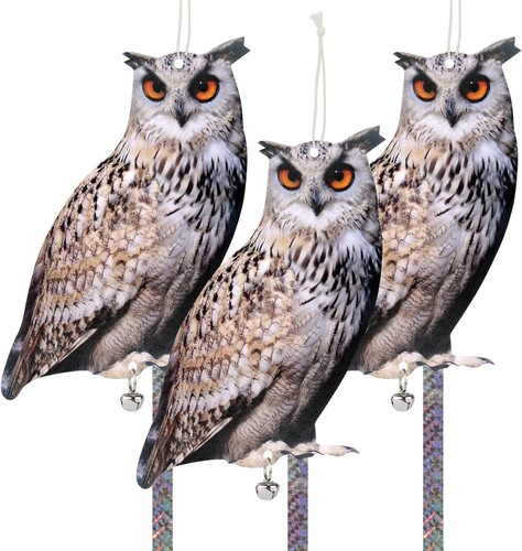 3pcs bird scarers - 3pcs,