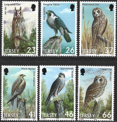 2001 jersey 999 1004 birds - 2001, 999/1004