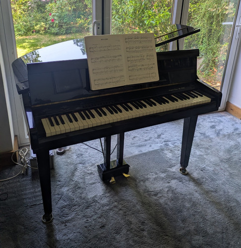 Samick 876g key - se-876g, digital