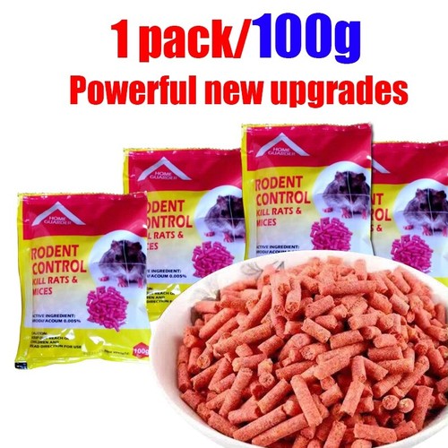 Rat mouse rodent - rat, &