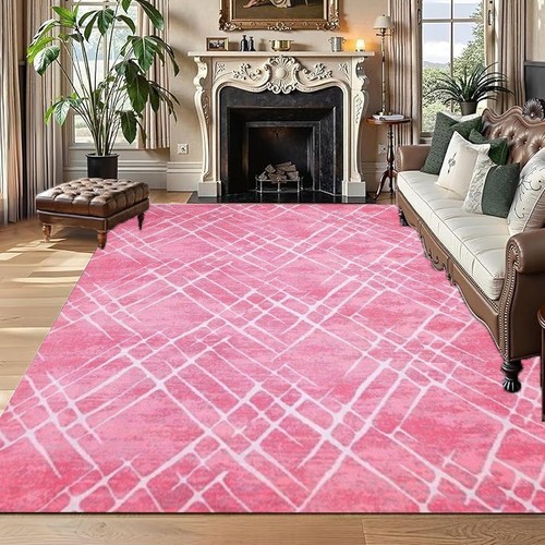 Non slip shaggy rugs hallway - non,