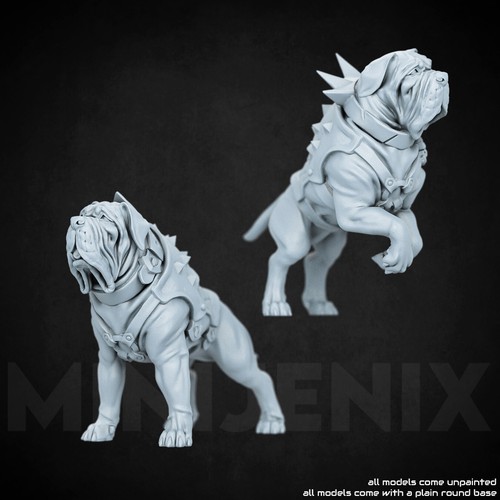 Npc animal dog - set, fantasy
