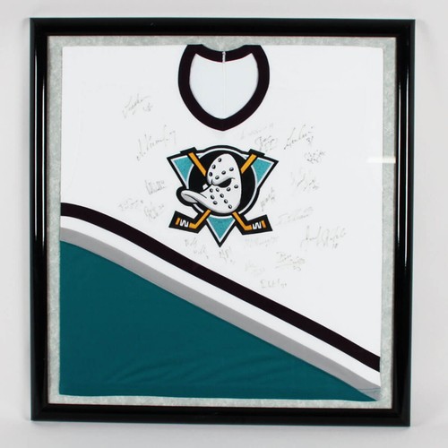 1993 mighty ducks team - mighty,