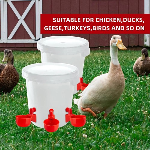 Automatic chicken water cup - automatic,