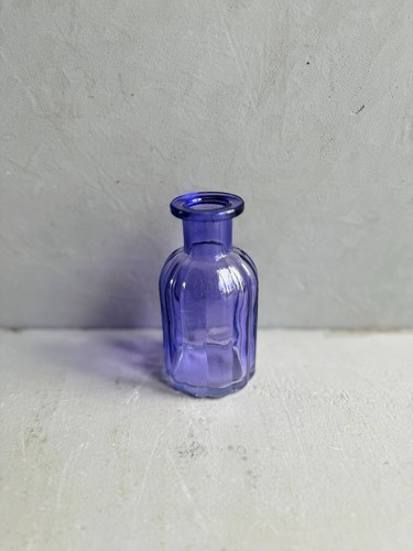 Sweet mini vase propagation - sweet, |