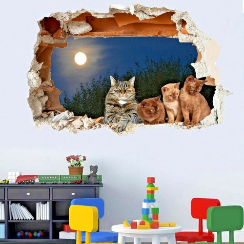 Super cute cats kittens wall - super,