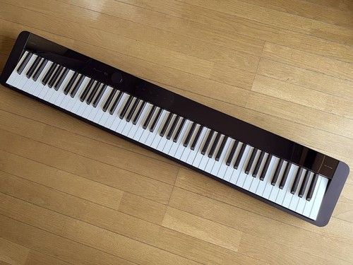 Casio s1100 privia - px-s1100,