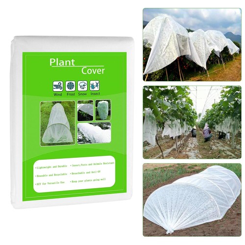 Garden plant fleece frost - garden,