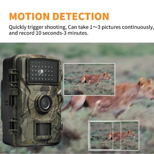For wildlife observation - wildlife, hd