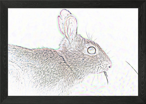 Rabbit framed wall art poster - wall,