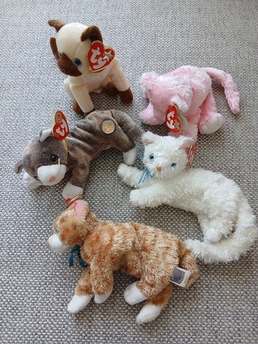 Beanie cat bundle - beanie,