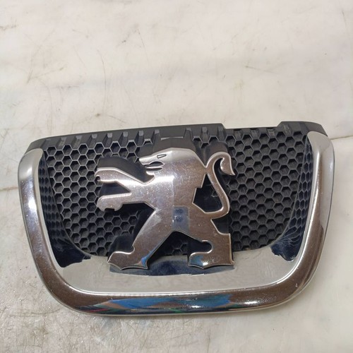 Peugeot 407 2004 badge - 2004,