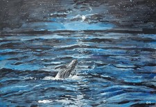 Midnight Whale Breaching -