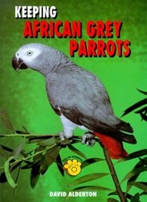 Keeping african grey - keeping,