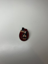 Walt Disney's Hidden Mickey Series Splash Mountain Vulture Trading Pin